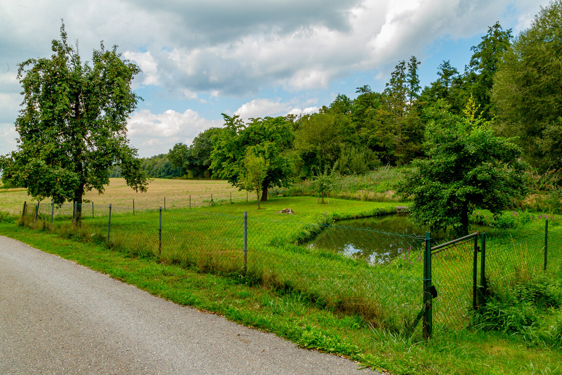 Image: _JA 40763 Fischweiher B.jpg